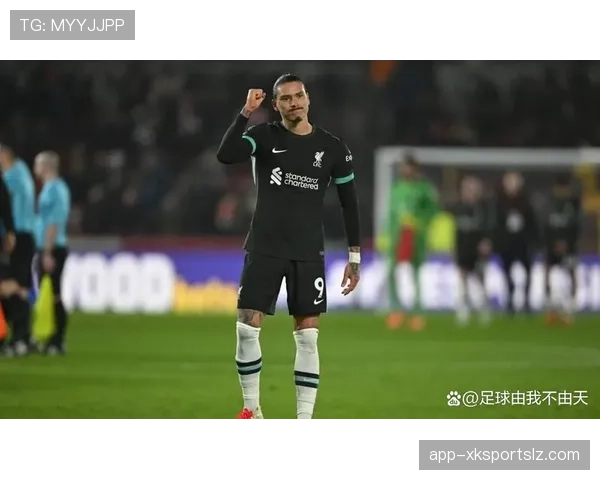 努涅斯为何未能兑现预期？解析其在利物浦的适应困境与表现落差