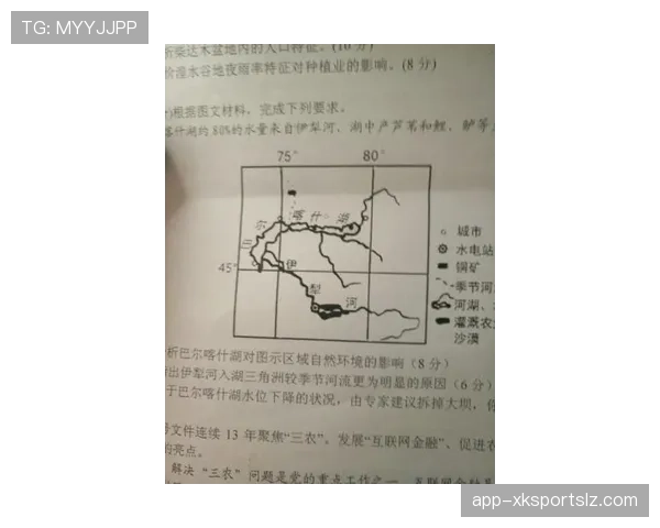 巴尔科拉状态起伏的根源与改善路径分析